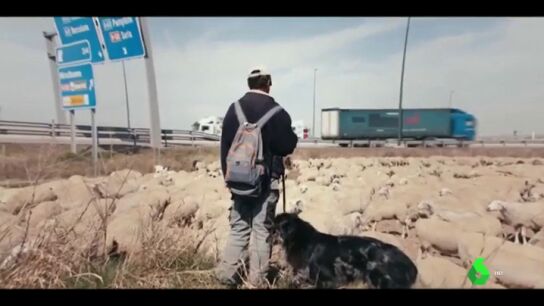 Frame de una pel&iacute;cula de la duod&eacute;cima edici&oacute;n del festival Ecozine en Zaragoza