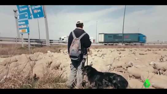 Frame de una película de la duodécima edición del festival Ecozine en Zaragoza Frame de una película de la duodécima edición del festival Ecozine en Zaragoza