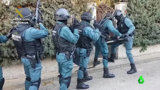 Más de 3.000 plantas de marihuana incautadas en plantaciones de alto rendimiento en Toledo Más de 3.000 plantas de marihuana incautadas en plantaciones de alto rendimiento en Toledo