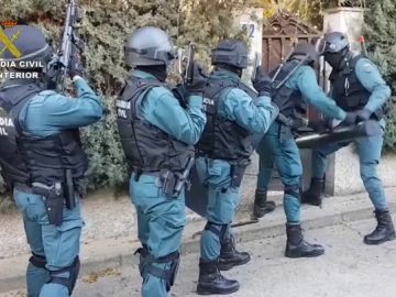 Más de 3.000 plantas de marihuana incautadas en plantaciones de alto rendimiento en Toledo Más de 3.000 plantas de marihuana incautadas en plantaciones de alto rendimiento en Toledo
