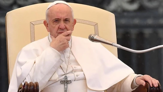 El papa Francisco El papa Francisco insta a la sociedad a que responda con "solidaridad y amor" ante actos como el aborto y la eutanasia