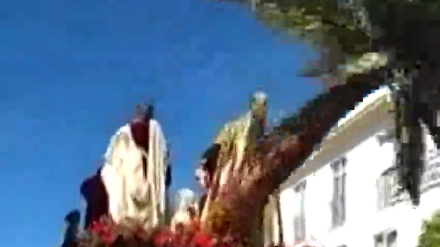 Semana Santa: cae la palmera del paso de 'La Borriquita' en Córdoba y golpea a un costalero Semana Santa: cae la palmera del paso de 'La Borriquita' en Córdoba y golpea a un costalero