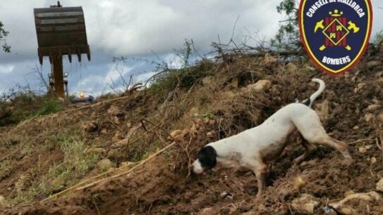 Imagen de archivo de Perry durante labores de rescate.