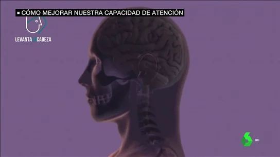 Para la pérdida de memoria de los ancianos o la concentración de los estudiantes: así funcionan los gimnasios para la mente Para la pérdida de memoria de los ancianos o la concentración de los estudiantes: así funcionan los gimnasios para la mente