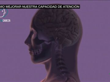 Para la pérdida de memoria de los ancianos o la concentración de los estudiantes: así funcionan los gimnasios para la mente Para la pérdida de memoria de los ancianos o la concentración de los estudiantes: así funcionan los gimnasios para la mente