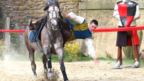 Puy du Fou