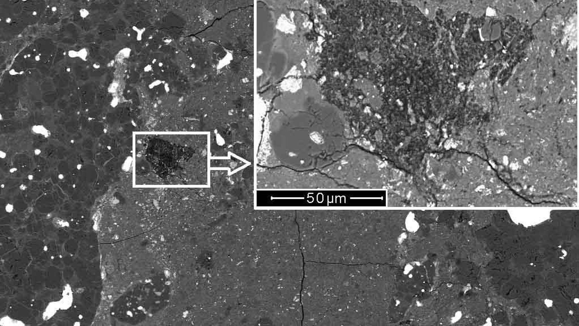 Descubren el fragmento de un cometa en el interior de un meteorito primitivo