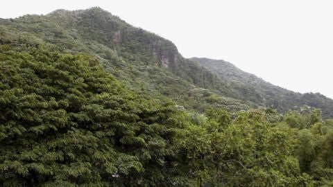 El Yunque