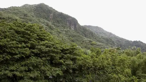 El Yunque El Yunque