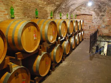 Bodega Bodega