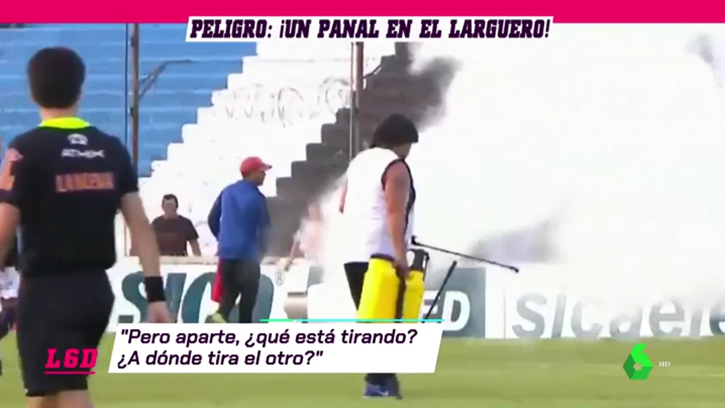 abejas_6d abejas_6d