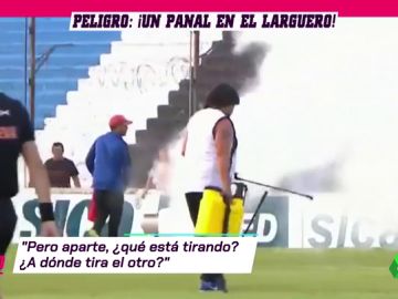 abejas_6d abejas_6d