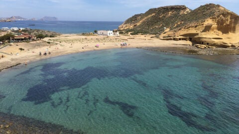 Playa de los Cocederos