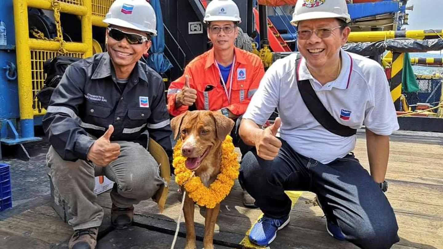 Boonrod con sus tres rescatadores en la planta petrolífera Boonrod con sus tres rescatadores en la planta petrolífera