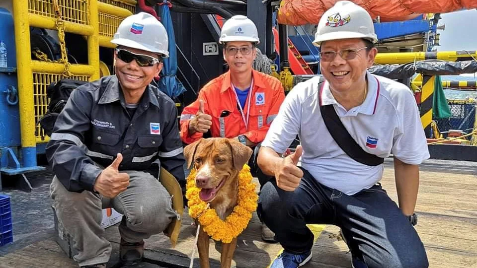 Boonrod con sus tres rescatadores en la planta petrolífera