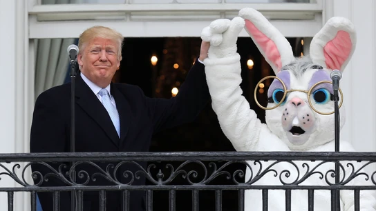 Donald Trump junto al conejo de Pascua, en la Casa Blanca. Donald Trump junto al conejo de Pascua, en la Casa Blanca.