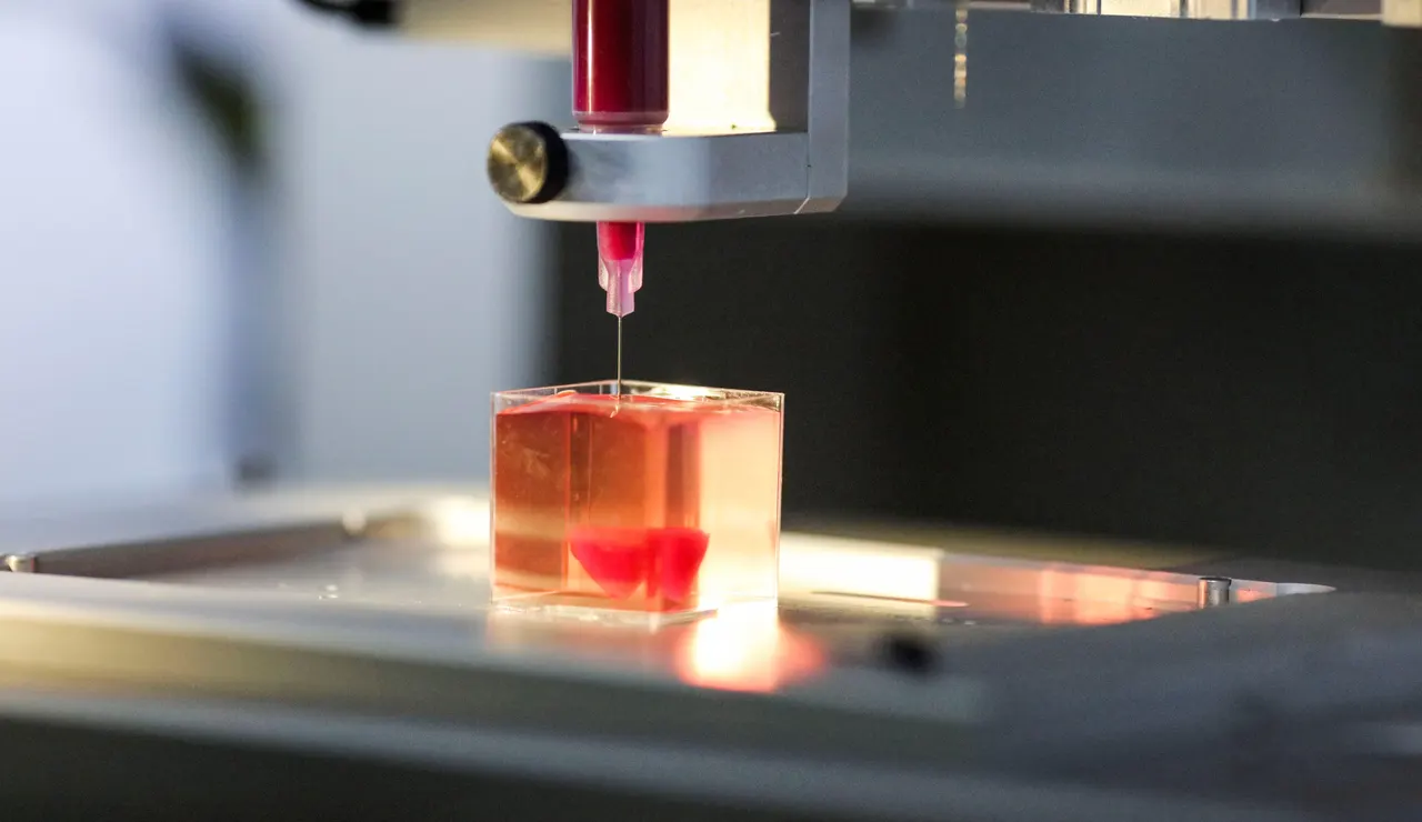 Una impresora 3D imprime un corazón con tejido humano