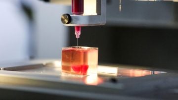 Una impresora 3D imprime un corazón con tejido humano