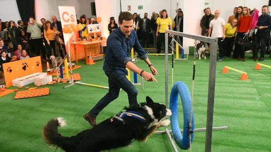 Albert Rivera con un perro en un acto de campaña Albert Rivera con un perro en un acto de campaña
