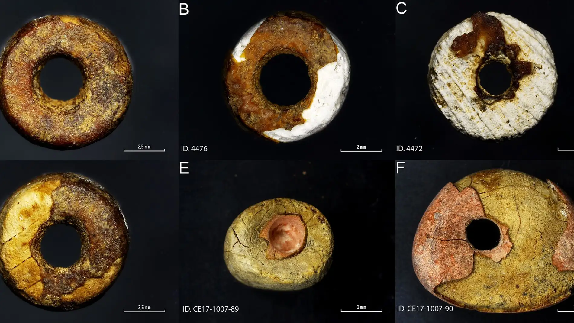 Hallan por primera vez imitaciones de ambar prehistorico en la Peninsula