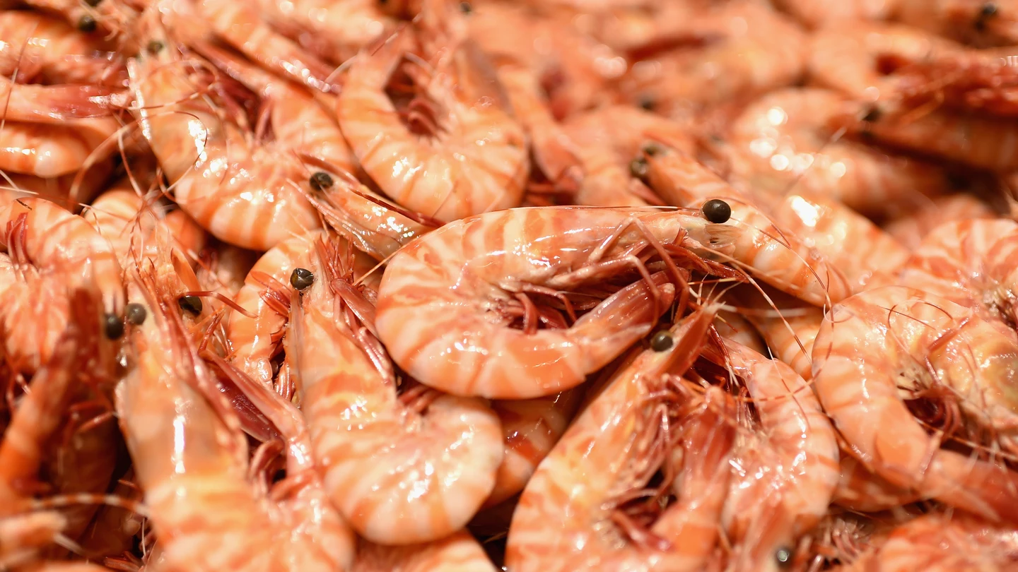 Imagen de unas gambas Imagen de unas gambas