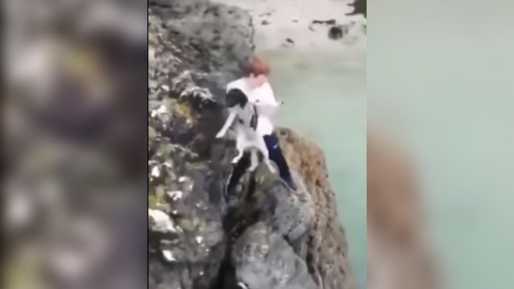 El joven lanzando el perro