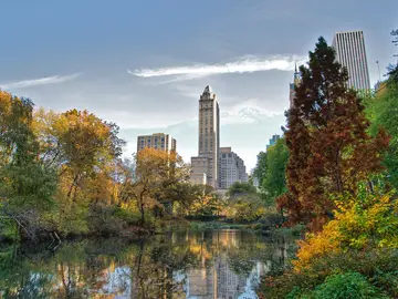 Nueva York Nueva York