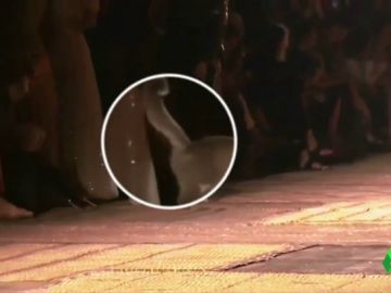 Un gato se cuela en un desfile de Christian Dior y marca con su orina a una asistente Un gato se cuela en un desfile de Christian Dior y marca con su orina a una asistente