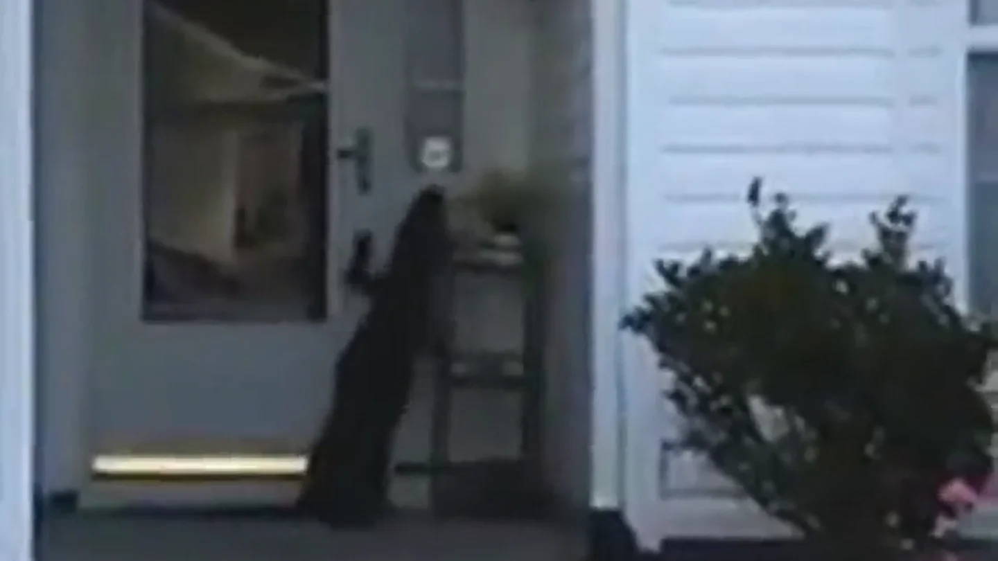 Las sorprendentes imágenes de un cocodrilo que intenta llamar al timbre de una casa en Carolina del Sur Las sorprendentes imágenes de un cocodrilo que intenta llamar al timbre de una casa en Carolina del Sur