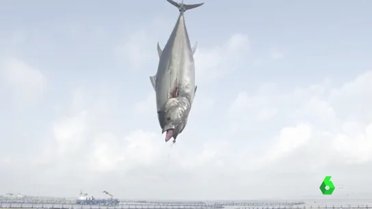 ASÃ PESCABA ATÃN ASÃ PESCABA ATÃN