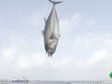 ASÃ PESCABA ATÃN ASÃ PESCABA ATÃN