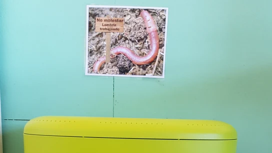El colegio cuenta con su propia compostadora con la que crean abono para su jardín vertical. El colegio cuenta con su propia compostadora con la que crean abono para su jardín vertical.