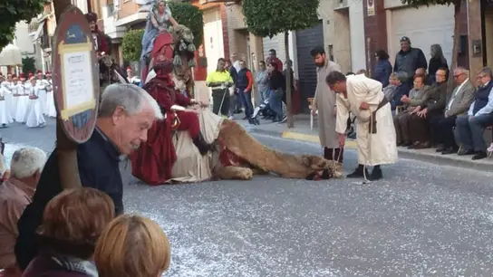 Un camello de desmaya durante un desfile en Sedaví Un camello de desmaya durante un desfile en Sedaví
