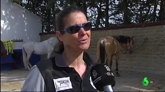 Miles de abejas atacan a cuatro jóvenes que paseaban a caballo por Tafalla Miles de abejas atacan a cuatro jóvenes que paseaban a caballo por Tafalla