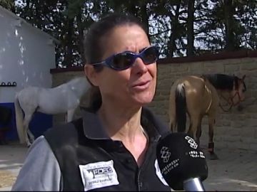 Miles de abejas atacan a cuatro jóvenes que paseaban a caballo por Tafalla Miles de abejas atacan a cuatro jóvenes que paseaban a caballo por Tafalla