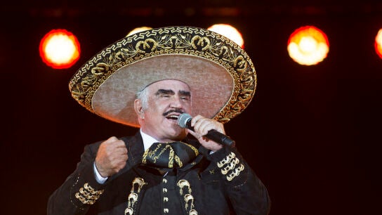 El cantante mexicano Vicente Fern&aacute;ndez