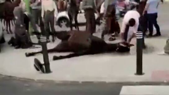 Impactantes im&aacute;genes: un caballo convulsiona en la Feria de Abril de Sevilla