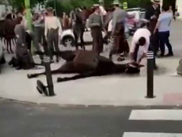 Impactantes imágenes: un caballo convulsiona en la Feria de Abril de Sevilla Impactantes imágenes: un caballo convulsiona en la Feria de Abril de Sevilla