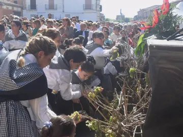 Fiesta de la vendimia de Rueda Fiesta de la vendimia de Rueda