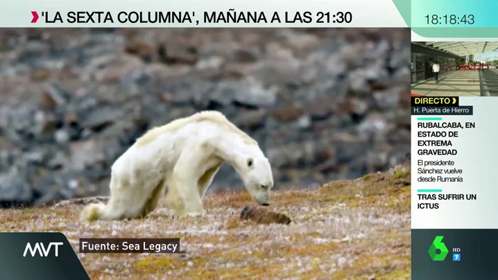 Las desgarradoras imágenes del cambio climático: ¿y si nuestros hijos sufrieran sus consecuencias irreversibles?