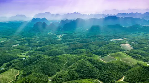 Vietnam Vietnam