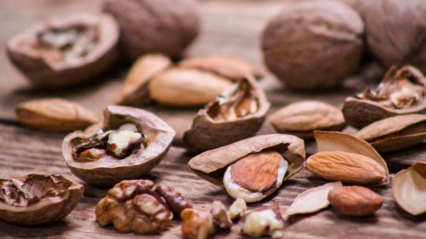 frutos secos frutos secos
