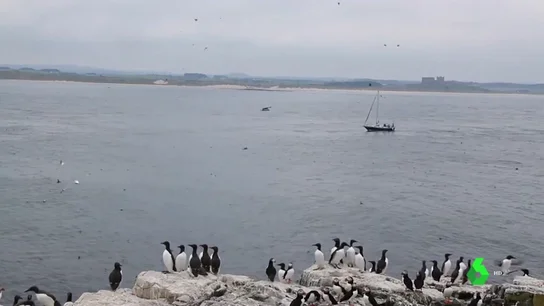 Ciclones, inundaciones, olas de calor severas... la alerta por el cambio climático se expande por todo el mundo Ciclones, inundaciones, olas de calor severas... la alerta por el cambio climático se expande por todo el mundo