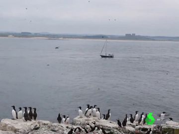 Ciclones, inundaciones, olas de calor severas... la alerta por el cambio climático se expande por todo el mundo Ciclones, inundaciones, olas de calor severas... la alerta por el cambio climático se expande por todo el mundo