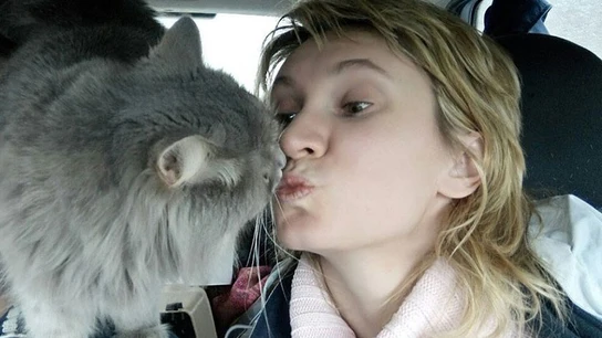Un gato salva la vida a su dueña embarazada mientras sufría un ataque de hipoglucemia Un gato salva la vida a su dueña embarazada mientras sufría un ataque de hipoglucemia