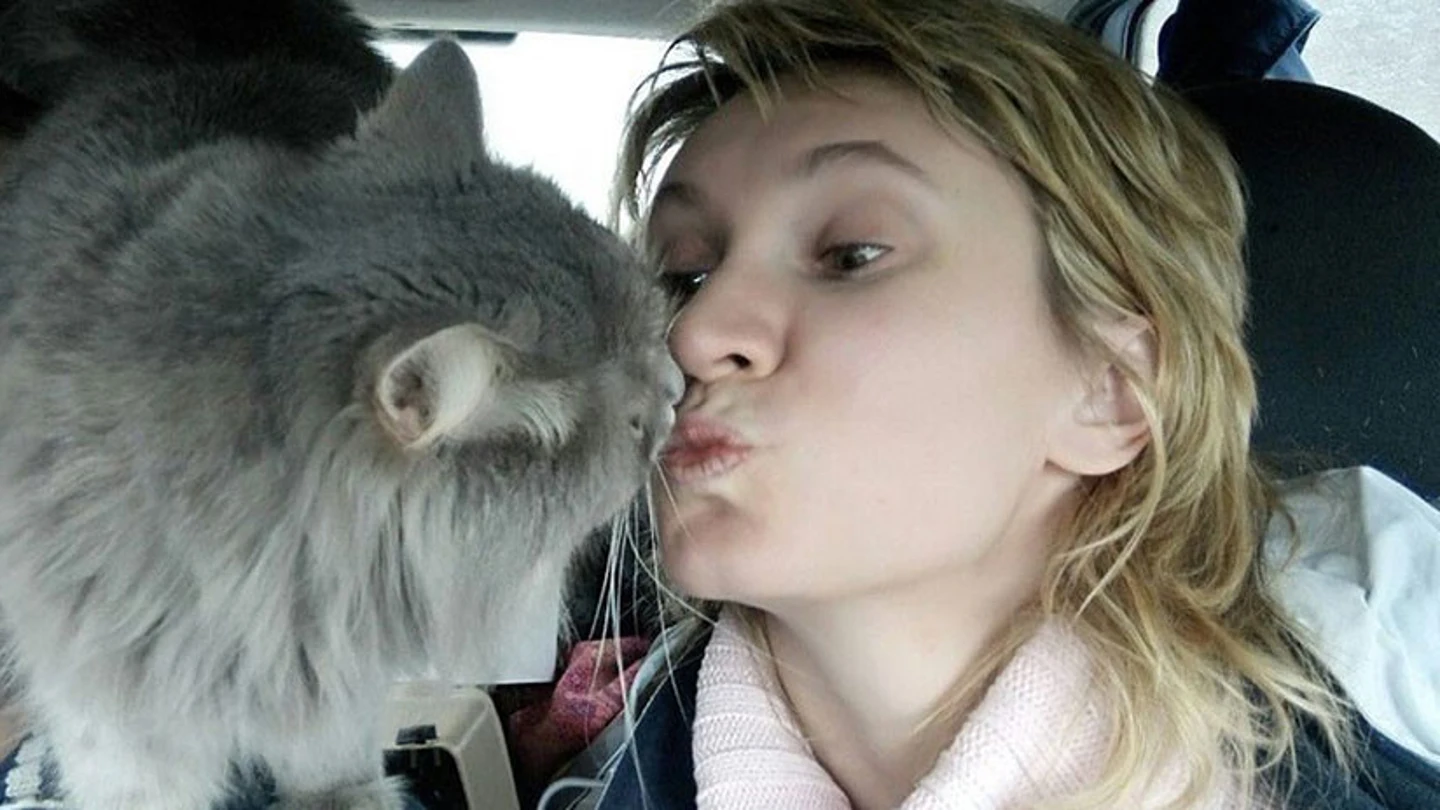 Un gato salva la vida a su dueña embarazada mientras sufría un ataque de hipoglucemia Un gato salva la vida a su dueña embarazada mientras sufría un ataque de hipoglucemia