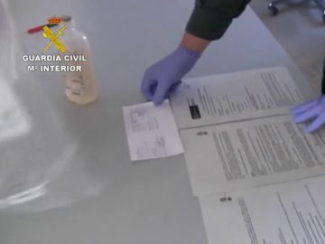Detienen a 13 personas por administrar medicamentos irregulares a animales en Burgos Detienen a 13 personas por administrar medicamentos irregulares a animales en Burgos