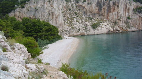 Nugal