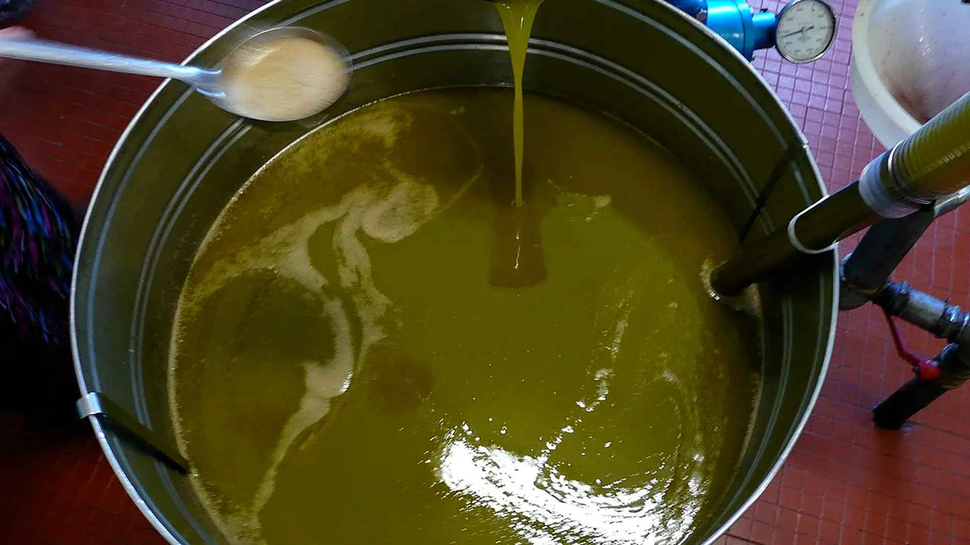 Metodo rapido para detectar micotoxinas en aceites vegetales