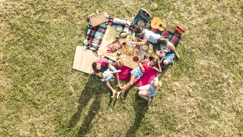 Picnic Picnic